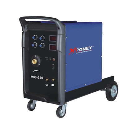 Blue Inverter Handheld ARC Welder DC TIG Aluminum Welder Ws-250